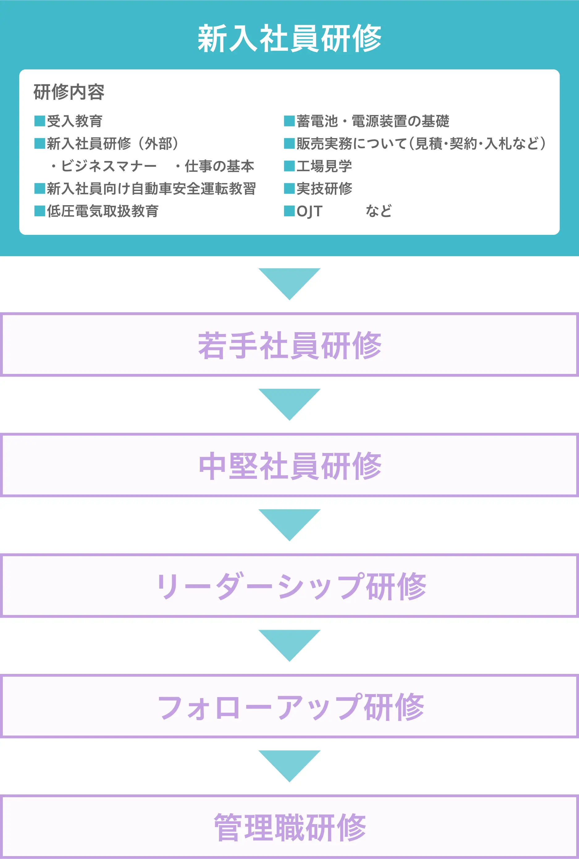 教育制度の一例